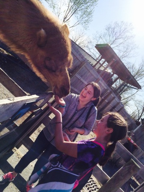 I fed a camel once. It clearly made me happy.